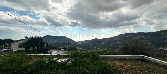 Коммерческая недвижимость с 4 спальнями в Акрунта, Кипр № 20136 4