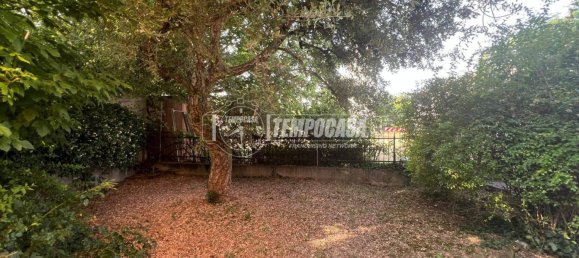 Studio in Poggio Rusco, Italy No. 263795 5