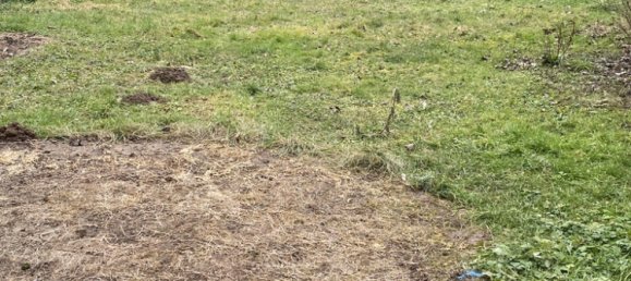 4 bedrooms House in Etampes, France No. 320984 18