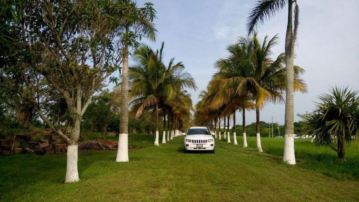 Terrain à Veracruz, Mexico No. 206466