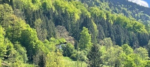 2 غرف نوم منزل في Bad Goisern am Hallstattersee, Austria رقم 139273 5