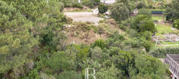 1943m² Land in Sari-Solenzara, France No. 211399 3