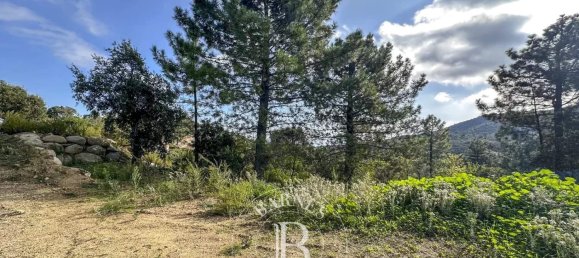 1943m² Land in Sari-Solenzara, France No. 211399 5