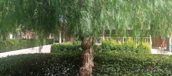 3غرفة منزل في Bernalda, Italy رقم 281654 3