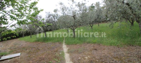 8 bedrooms House in Martinsicuro, Italy No. 156091 43