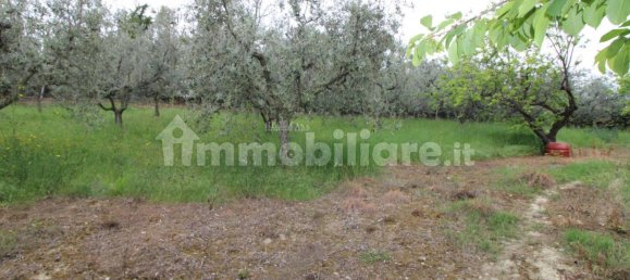 8 bedrooms House in Martinsicuro, Italy No. 156091 44