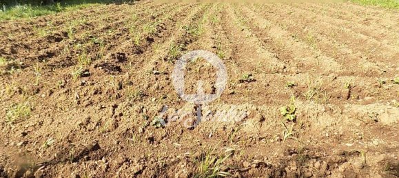 5 غرف نوم منزل في Trofa, Portugal رقم 48105 3