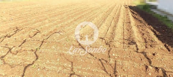 5 غرف نوم منزل في Trofa, Portugal رقم 48105 13