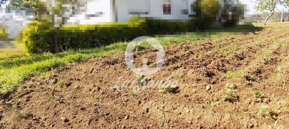 5 غرف نوم منزل في Trofa, Portugal رقم 48105 14