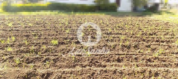 5 غرف نوم منزل في Trofa, Portugal رقم 48105 15