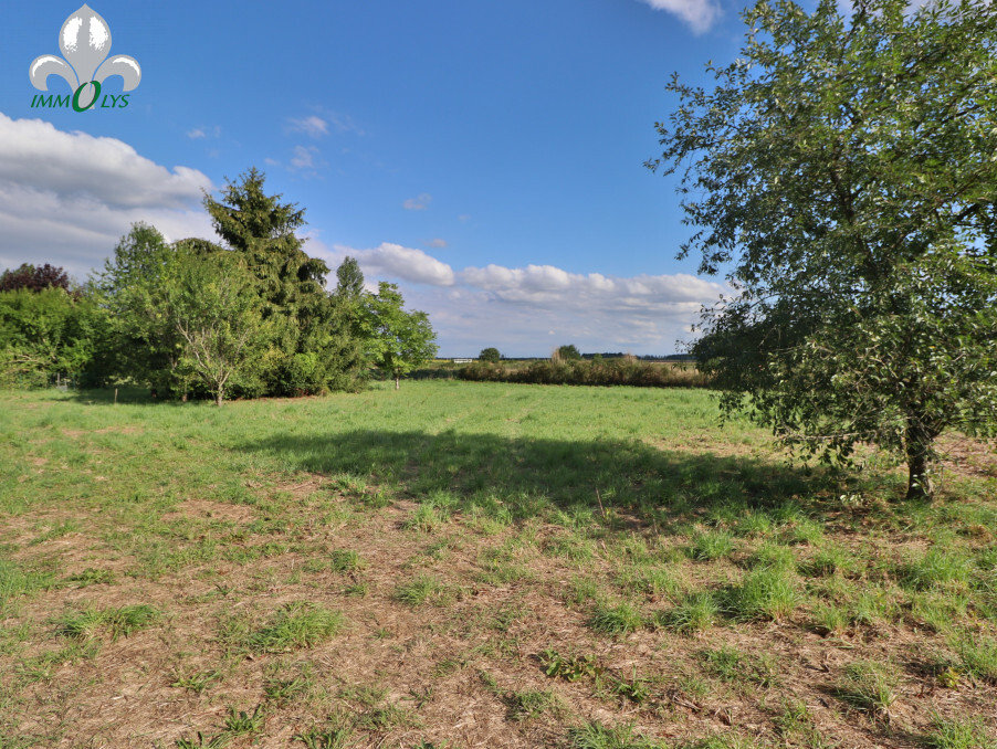  Land in Seurre, France No. 197298