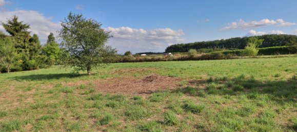  Land in Seurre, France No. 197298 2