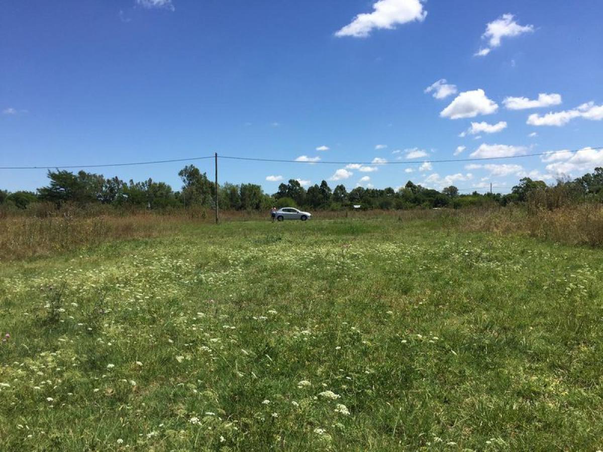  قطعة أرض في Campo Creado, Argentina رقم 44821