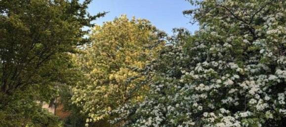 3غرفة منزل ذو طابقين في Vienna, Austria رقم 76576 17