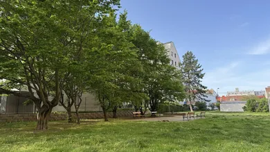 3غرفة منزل ذو طابقين في Vienna, Austria رقم 76576