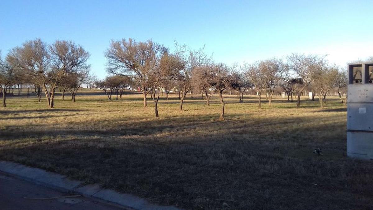  Land in Cordoba, Argentina No. 42483