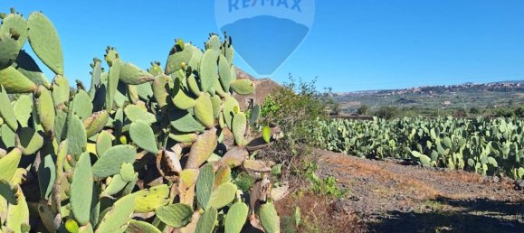 Terreno en Paternò, Italy 18000 m² No. 58238 38