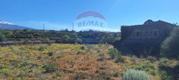Terreno en Paternò, Italy 18000 m² No. 58238 12