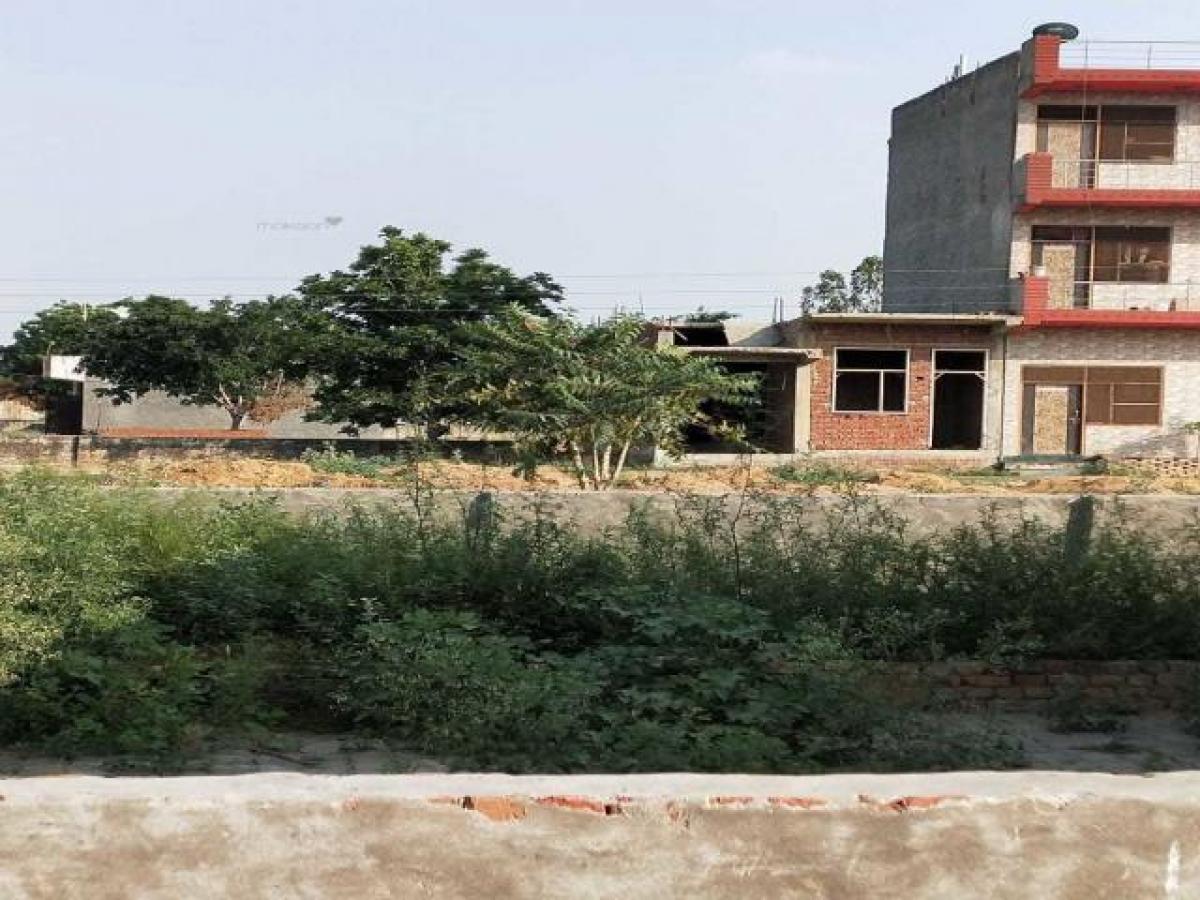  Land in Noida, India No. 32976