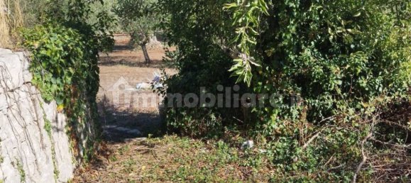 5 rooms House in Cisternino, Italy No. 42312 14