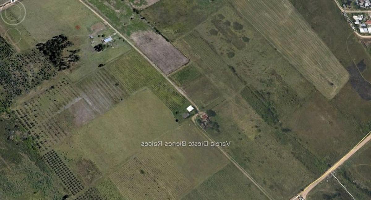 2 bedrooms House in Canelones, Uruguay No. 7717