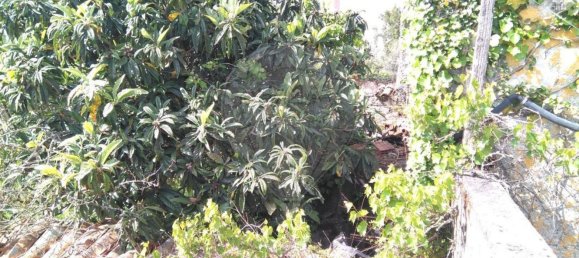 4 غرف نوم منزل في Ansiao, Portugal رقم 26102 28