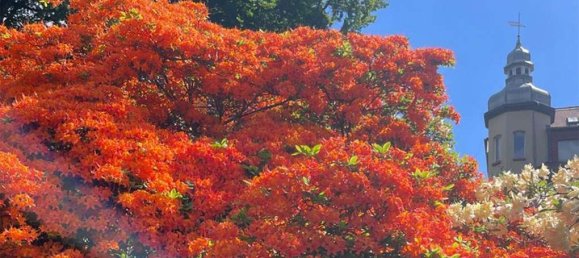 Villa T6 em Vogtlandkreis, Germany N.º 14600 18