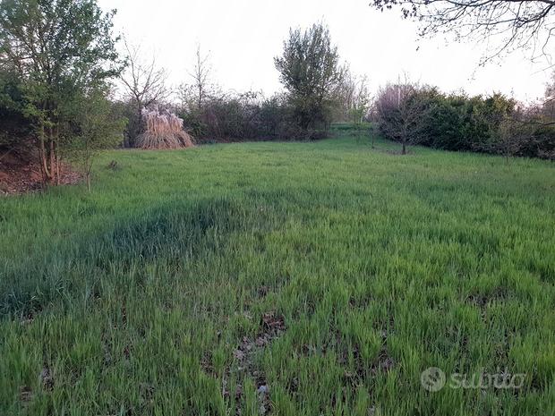 6000m² Land in Felizzano, Italy No. 251357