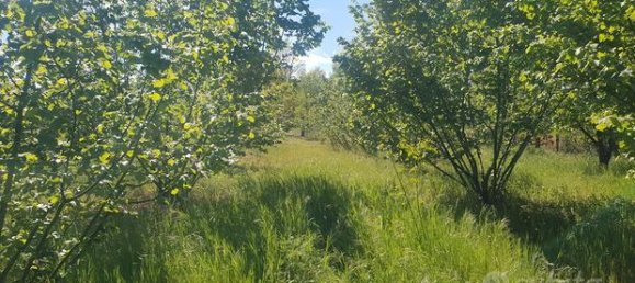 6000m² Land in Felizzano, Italy No. 251357 4