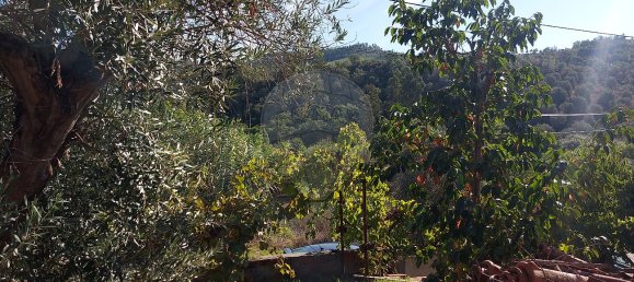 Casa de 3 dormitorios en Abrantes, Portugal No. 24250 11