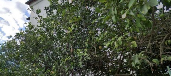 3-Zimmer Wohnung in Quarto, Italy, Nr. 12468 33