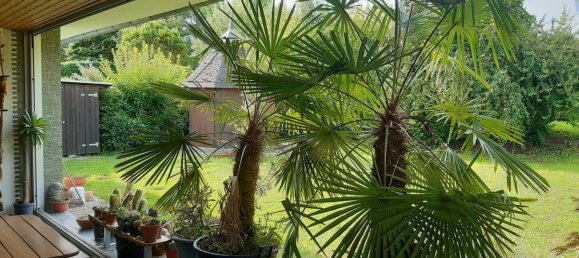 4 rooms Bungalow in Karlsruhe, Germany No. 369541 3