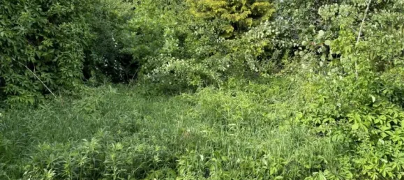 Grundstück in Nuremberg, Germany, Nr. 289106 3