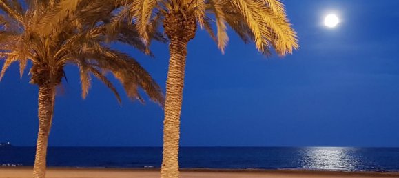 3 bedrooms Villa in Denia, Spain No. 170272 14