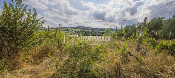 3-salle Maison à Loro Piceno, Italy No. 347078 11