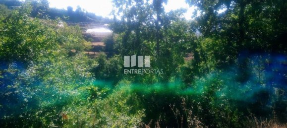 8713m² Land in Soalhaes, Portugal No. 57415 4