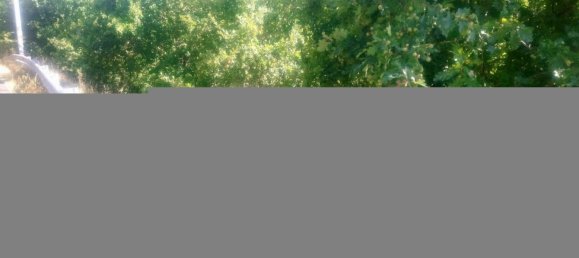 8713m² Land in Soalhaes, Portugal No. 57415 6