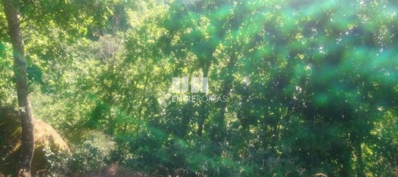 8713m² Land in Soalhaes, Portugal No. 57415 29