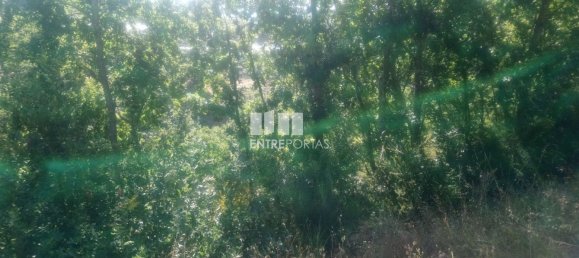 8713m² Land in Soalhaes, Portugal No. 57415 22