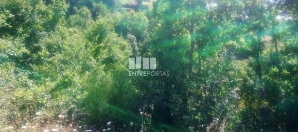 8713m² Land in Soalhaes, Portugal No. 57415 21