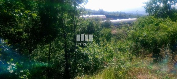 8713m² Land in Soalhaes, Portugal No. 57415 9