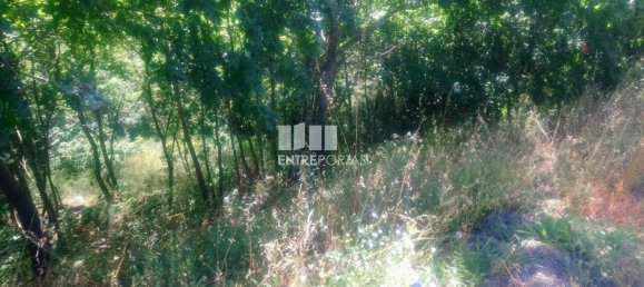 8713m² Land in Soalhaes, Portugal No. 57415 14