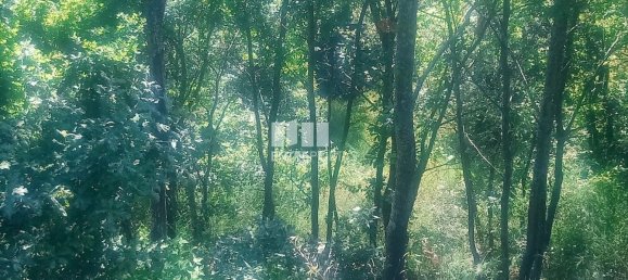 8713m² Land in Soalhaes, Portugal No. 57415 2