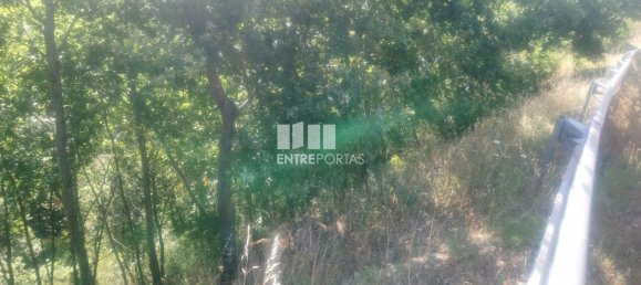 8713m² Land in Soalhaes, Portugal No. 57415 30