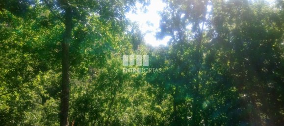 8713m² Land in Soalhaes, Portugal No. 57415 25