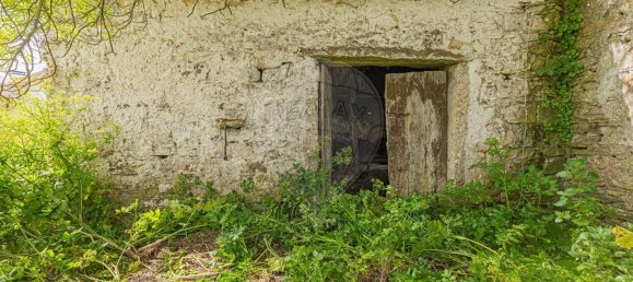 Lagerhaus in Mafra, Portugal 226m², Nr. 169995 3