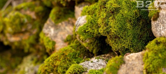 3 bedrooms Townhouse in Madrid, Spain No. 155074 47