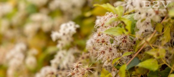 3 bedrooms Townhouse in Madrid, Spain No. 155074 48