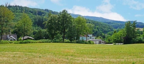  Land in Pressbaum, Austria No. 124887 6