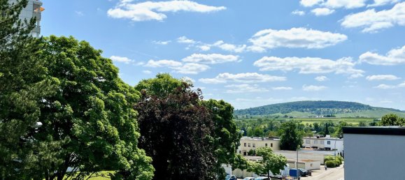 Пентхаус с 3 спальнями в Ремс-Мур, Германия № 32402 5